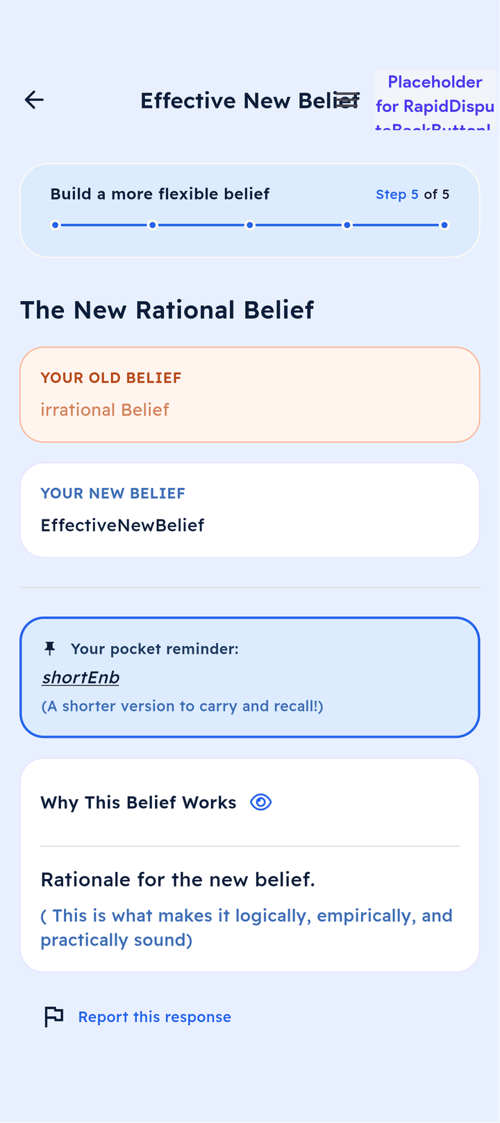 Effective new belief